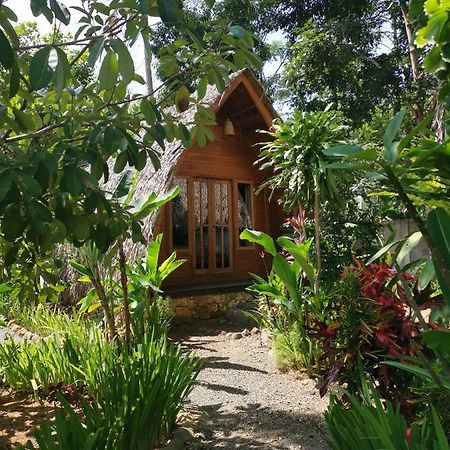 Coconut Tree Cottages Batukaras 외부 사진