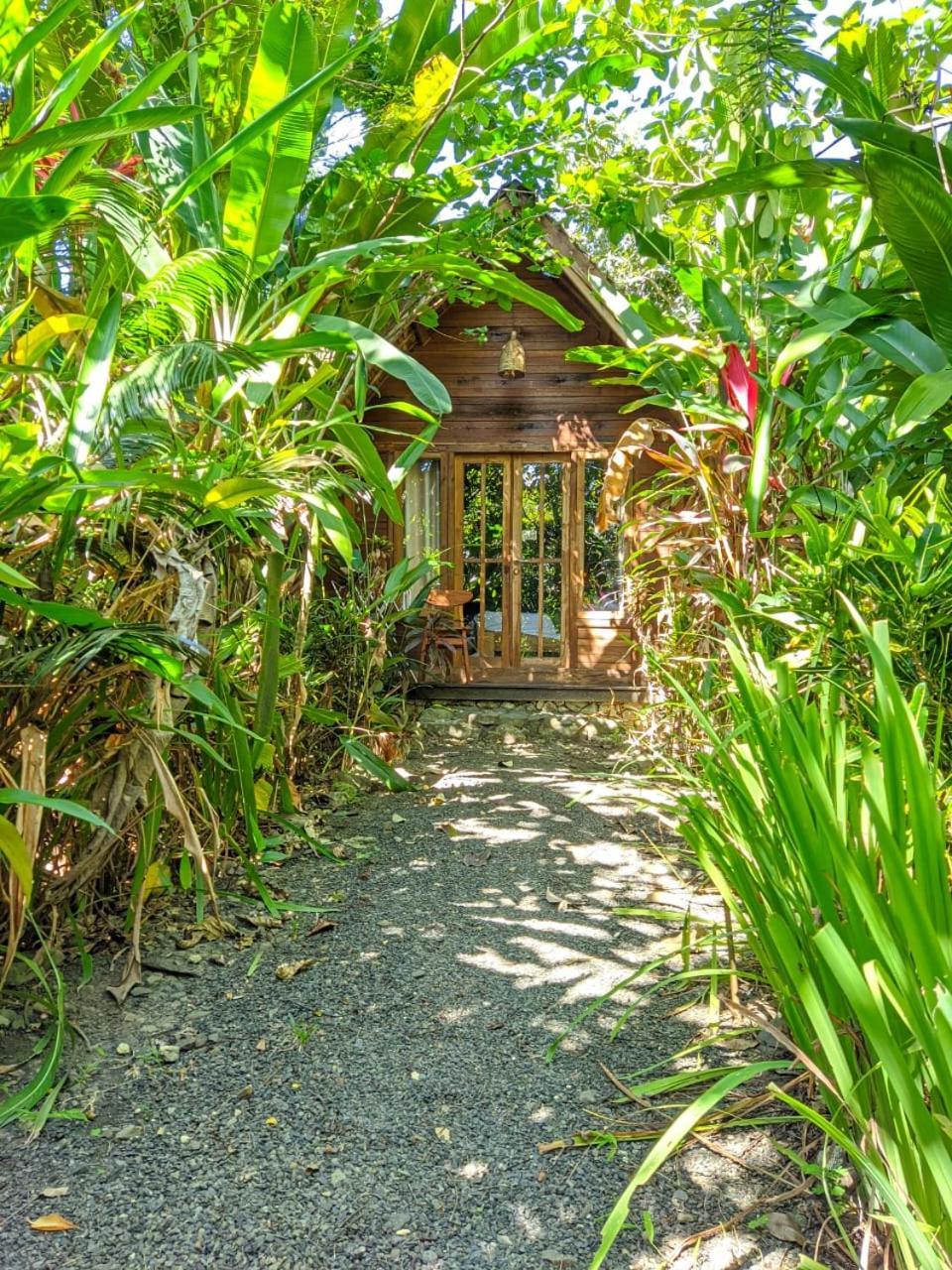 Coconut Tree Cottages Batukaras 외부 사진
