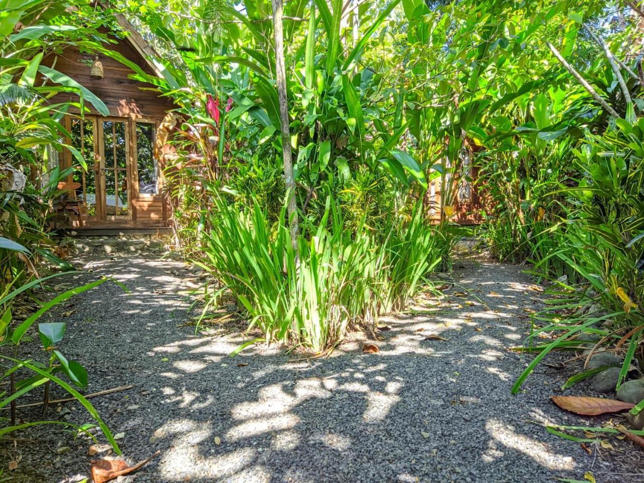 Coconut Tree Cottages Batukaras 외부 사진